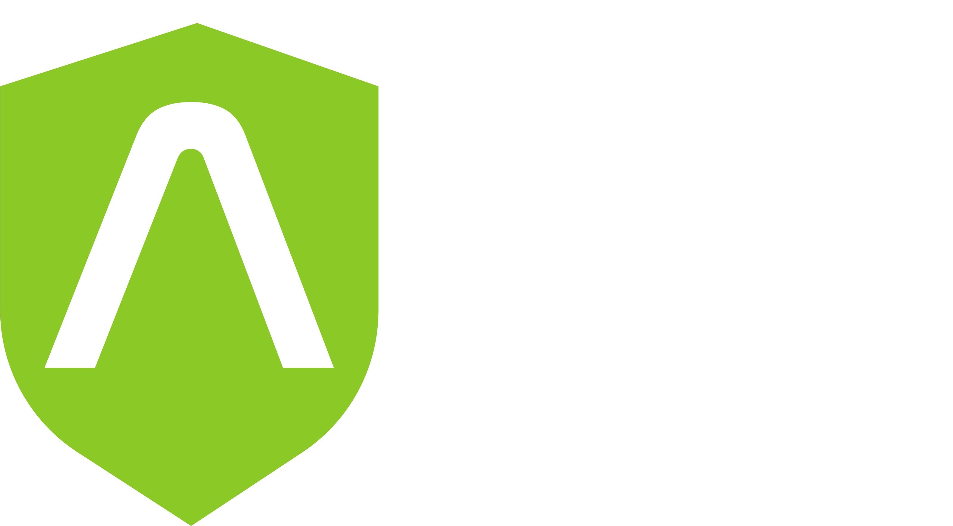 Aris Seguridad Informática